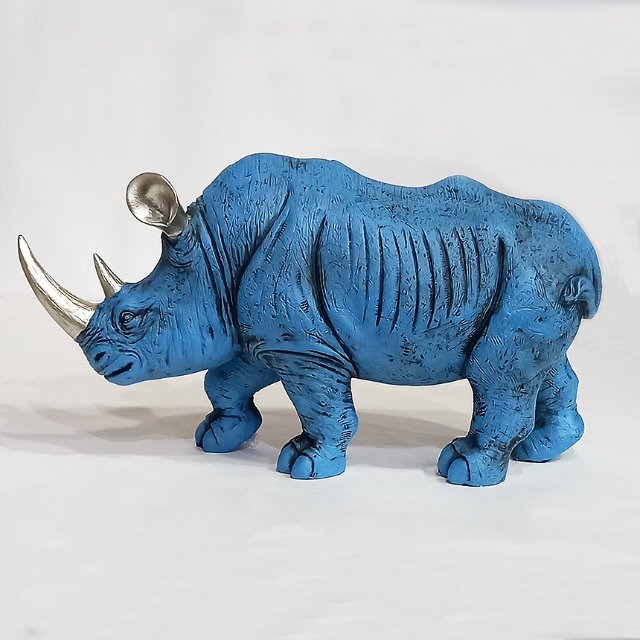 푸른 코뿔소 5호